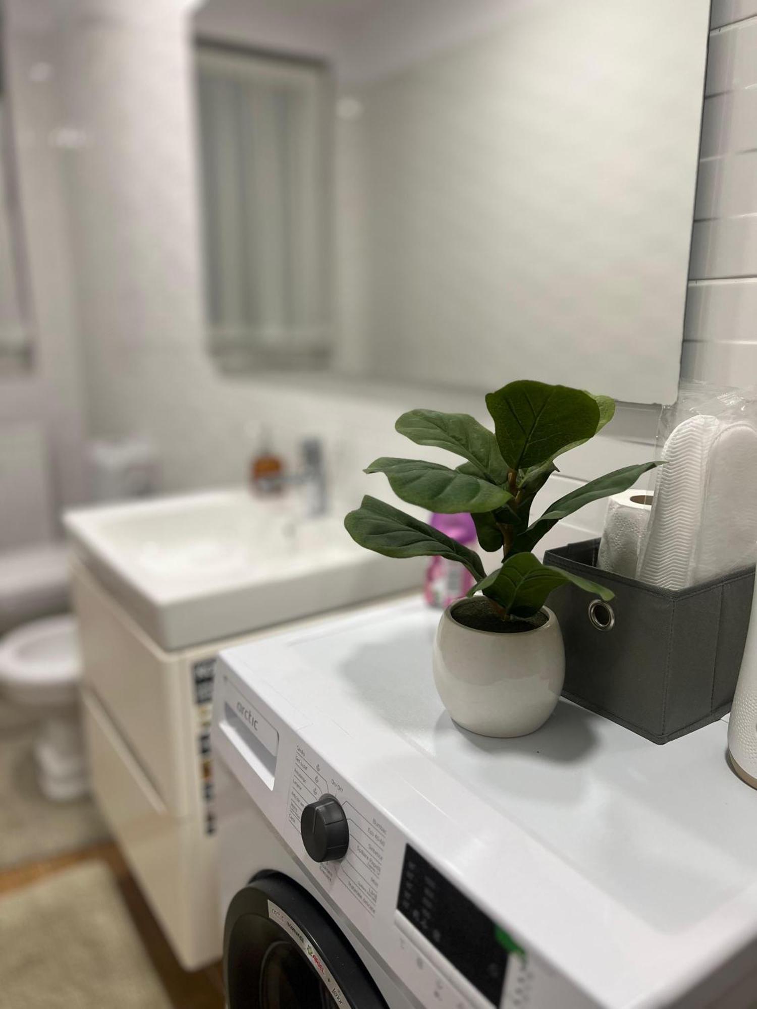 Studio79 Brasov Ngoại thất bức ảnh